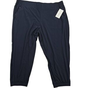 NWT Athleta Brooklyn Jogger Blue Womens Size 26